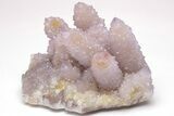 Large, Cactus Quartz (Amethyst) Crystal Cluster - South Africa #206118-1